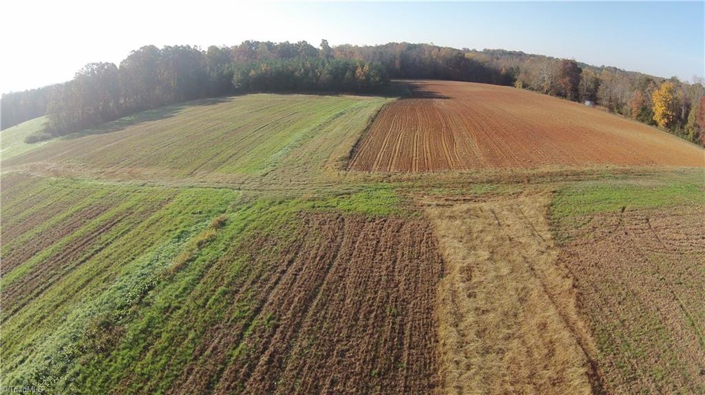 0 Proffitt Road Ruffin, NC 27326 - Photo 14 of 29