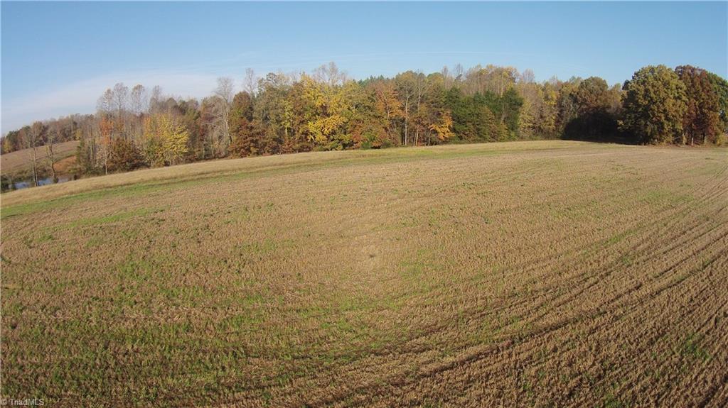 0 Proffitt Road Ruffin, NC 27326 - Photo 15 of 29
