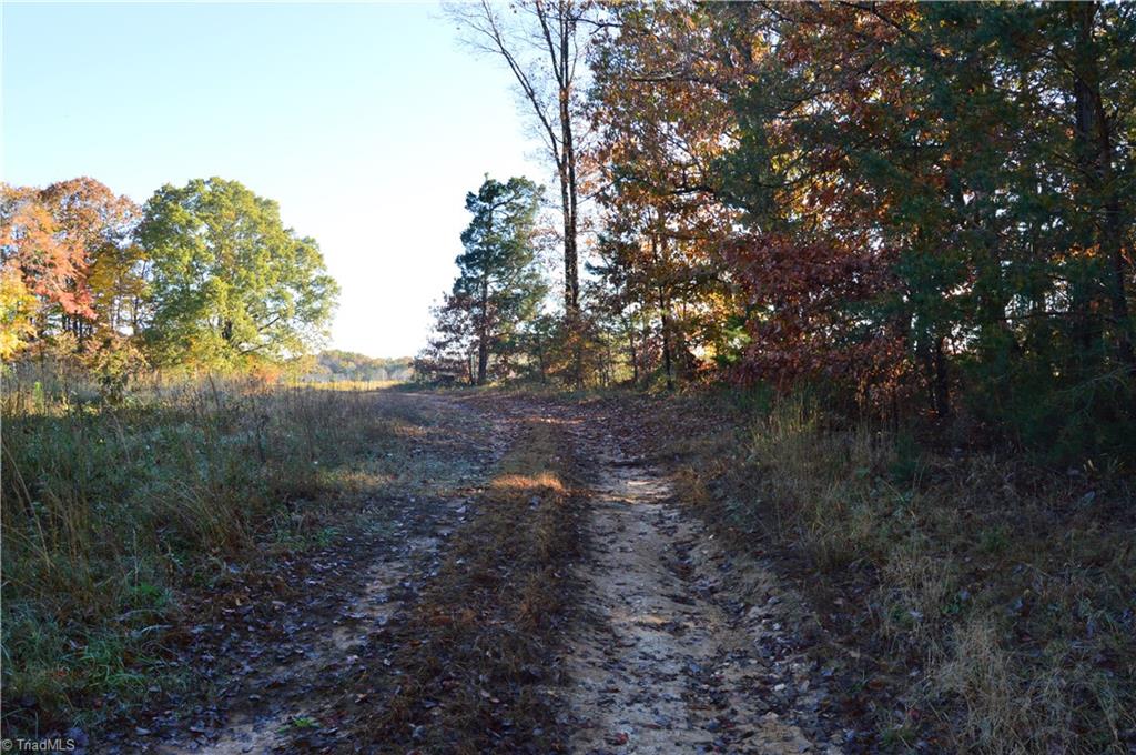 0 Proffitt Road Ruffin, NC 27326 - Photo 16 of 29