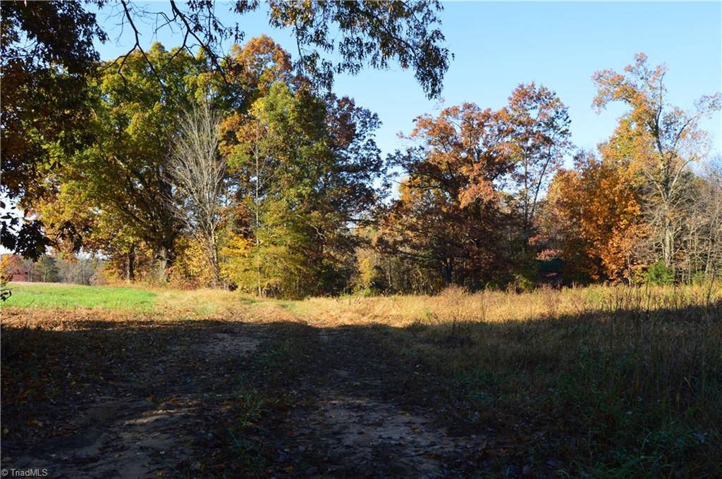 0 Proffitt Road Ruffin, NC 27326 - Photo 17 of 29