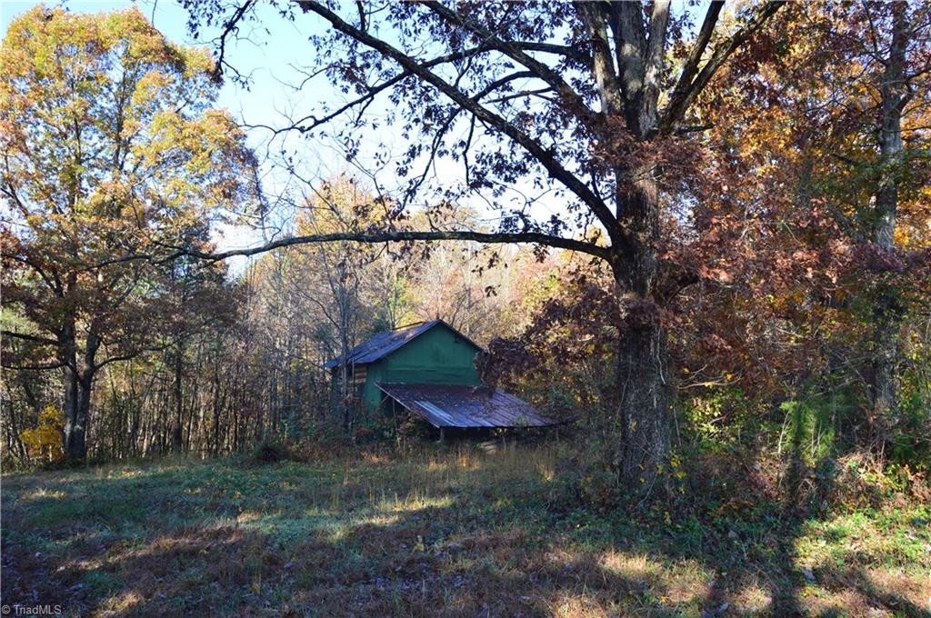 0 Proffitt Road Ruffin, NC 27326 - Photo 19 of 29