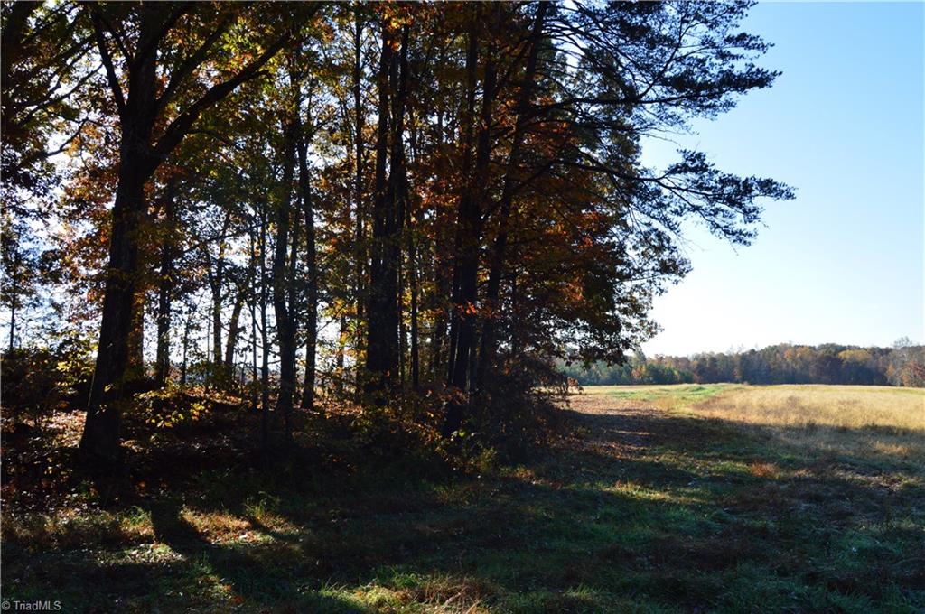 0 Proffitt Road Ruffin, NC 27326 - Photo 20 of 29