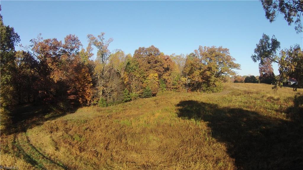 0 Proffitt Road Ruffin, NC 27326 - Photo 3 of 29