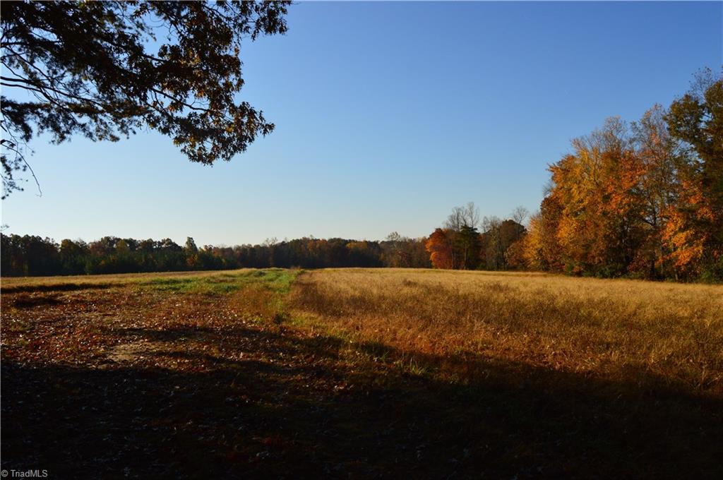 0 Proffitt Road Ruffin, NC 27326 - Photo 21 of 29