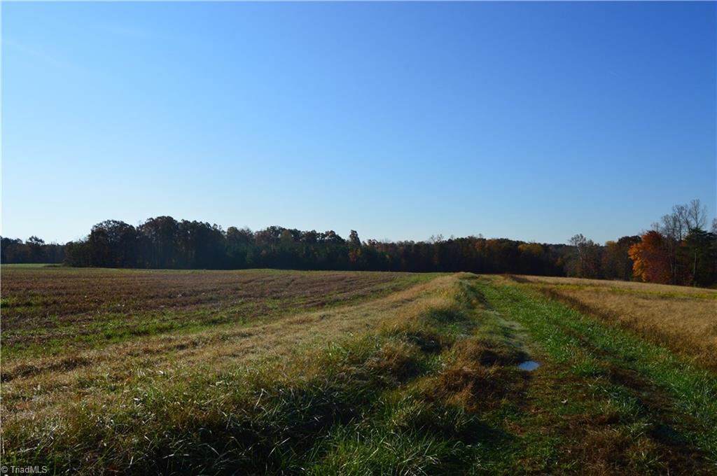 0 Proffitt Road Ruffin, NC 27326 - Photo 22 of 29