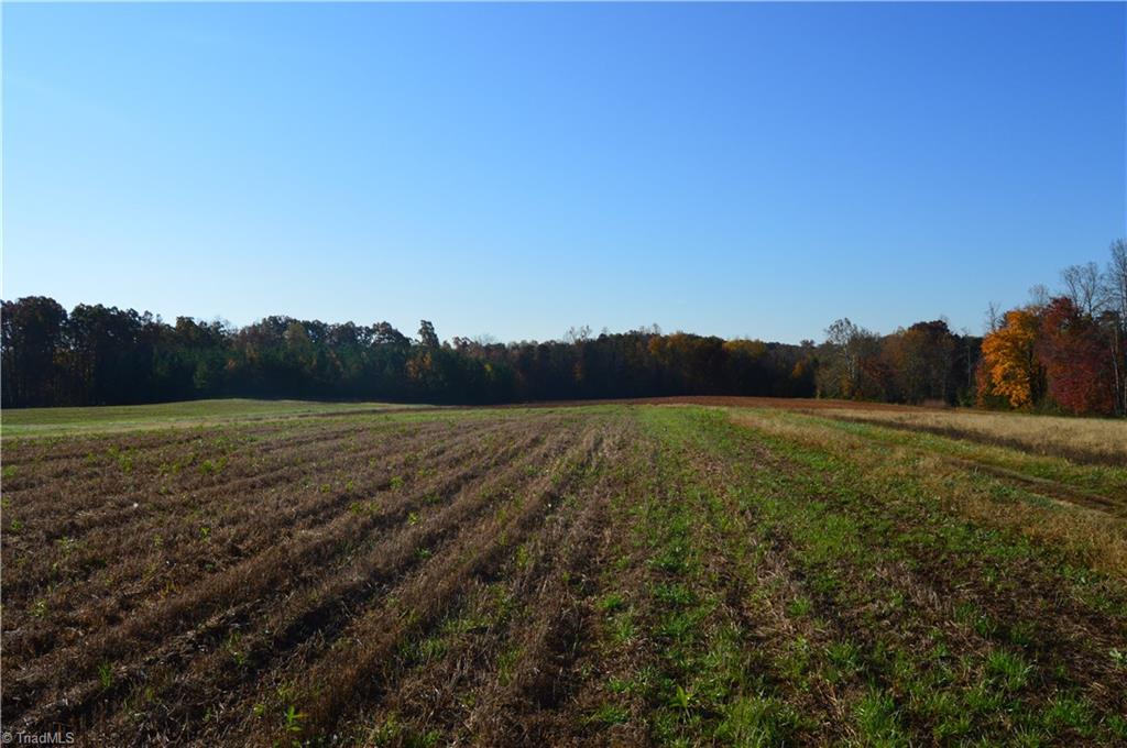 0 Proffitt Road Ruffin, NC 27326 - Photo 23 of 29