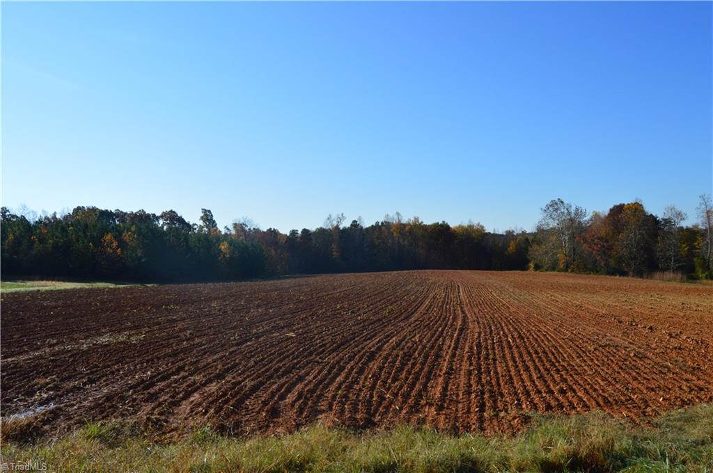 0 Proffitt Road Ruffin, NC 27326 - Photo 24 of 29