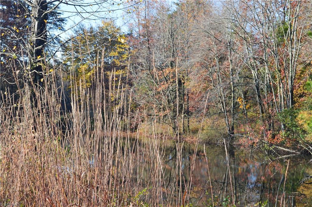 0 Proffitt Road Ruffin, NC 27326 - Photo 25 of 29
