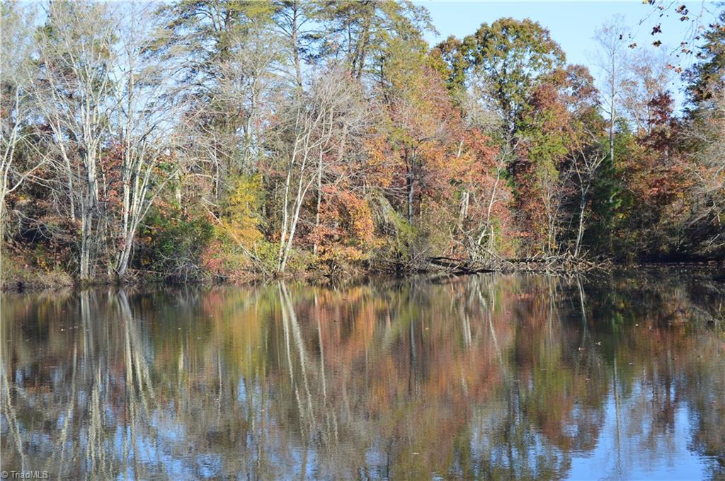 0 Proffitt Road Ruffin, NC 27326 - Photo 26 of 29