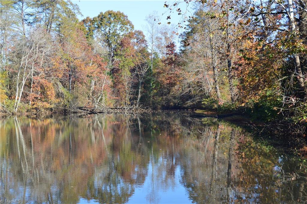 0 Proffitt Road Ruffin, NC 27326 - Photo 27 of 29