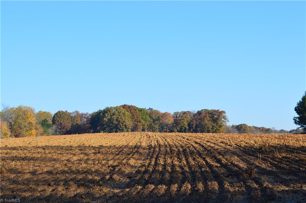 0 Proffitt Road Ruffin, NC 27326 - Photo 28 of 29