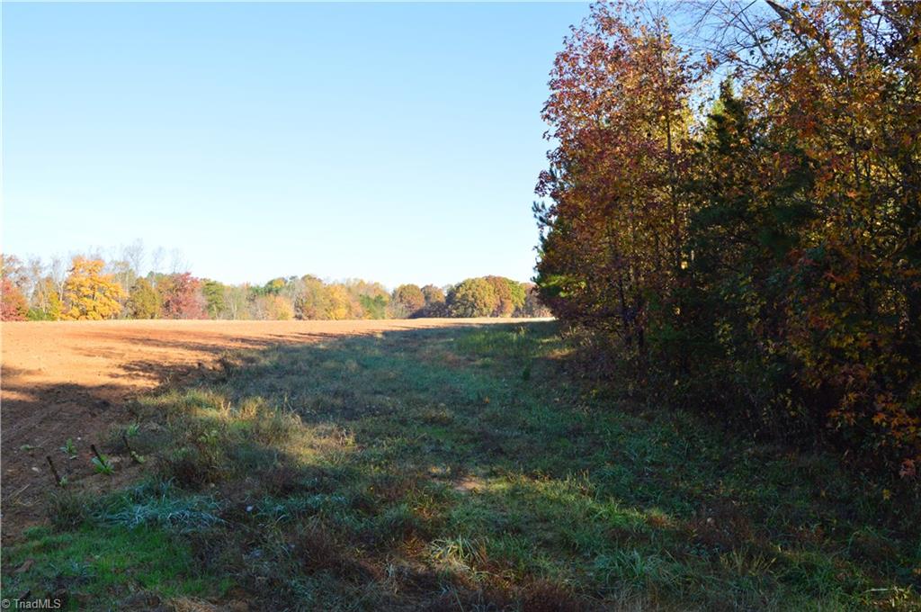 0 Proffitt Road Ruffin, NC 27326 - Photo 29 of 29