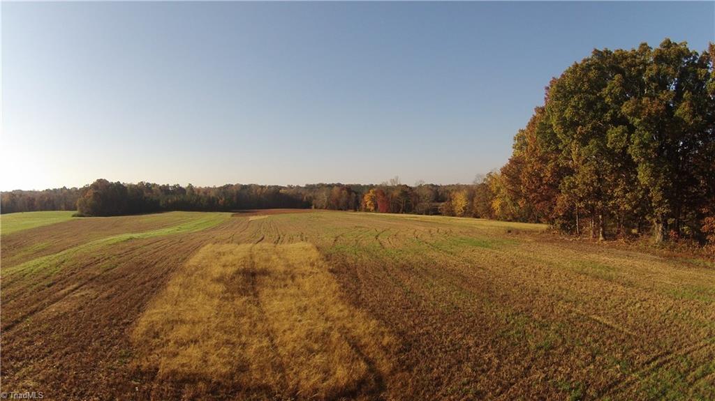 0 Proffitt Road Ruffin, NC 27326 - Photo 4 of 29