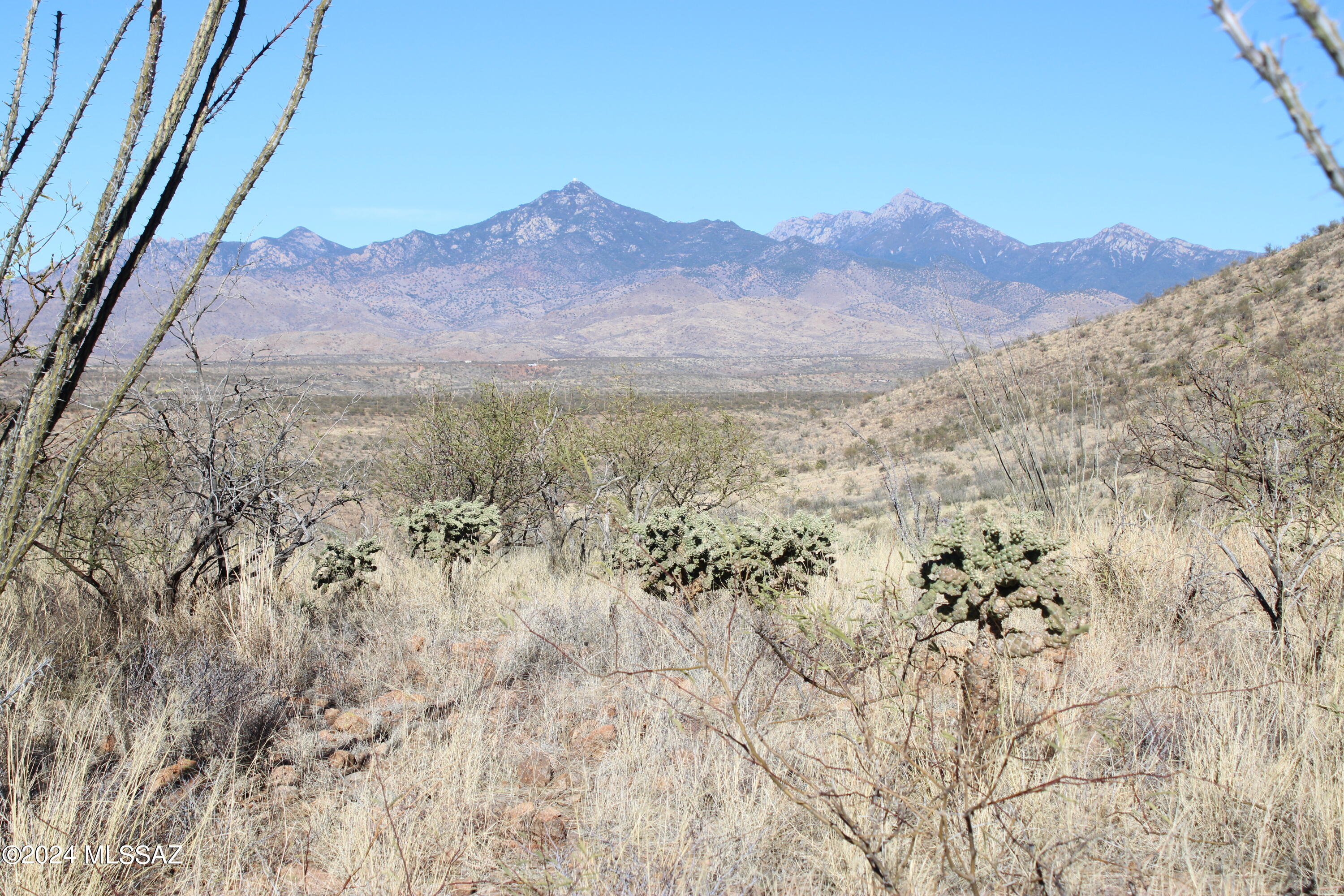 1815 Círculo Tortuga, Unit 21 Rio Rico, AZ 85648 - Photo 2 of 5 a view of a yard with a mountain