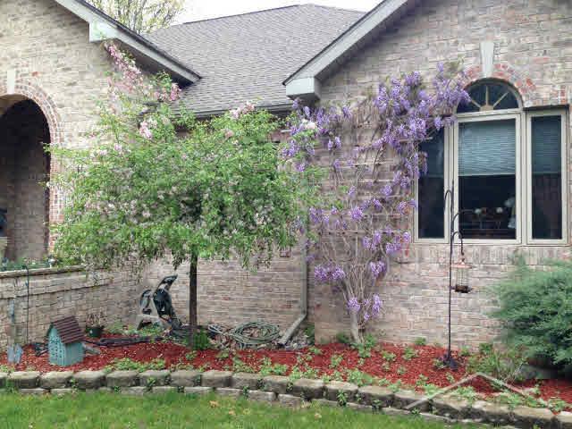 11358 Geddes Road Freeland, MI 48623 - Photo 7 of 19 20362271-6.JPG