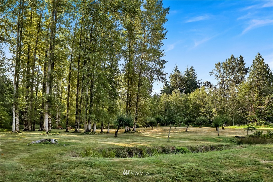 4760 Mission Road Bellingham, WA 98226 - Photo 35 of 40 a big yard with lots of green space and trees in the background