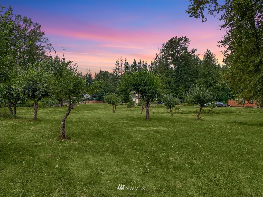 4760 Mission Road Bellingham, WA 98226 - Photo 5 of 40 a park with lots of trees