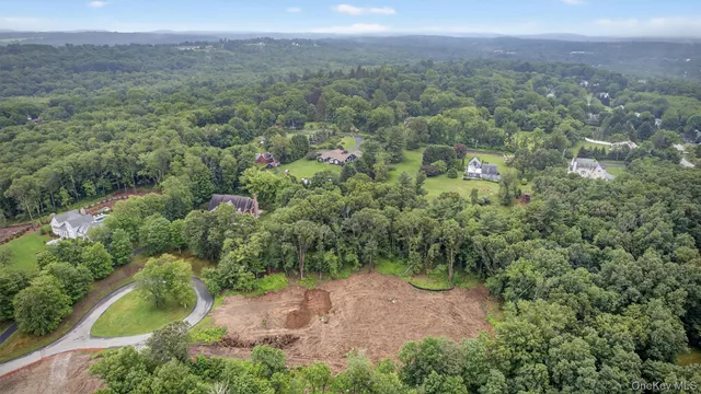 an aerial view of forest