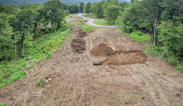 a view of a yard with plants and large trees