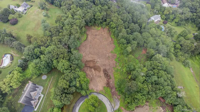 a view of a yard with plants