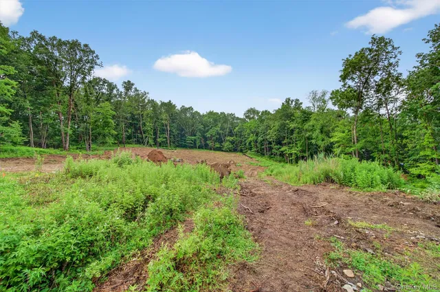 a view of a yard with a tree