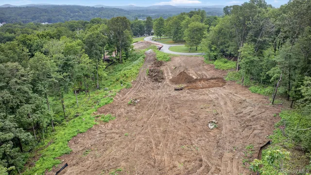 a view of a yard with plants and a small yard