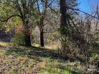 418 Owl Hollow Road Marion, NC 28752 - Photo 4 of 9