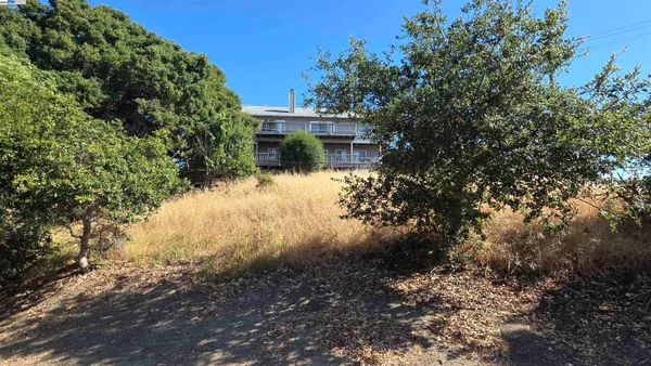 a view of house with a yard