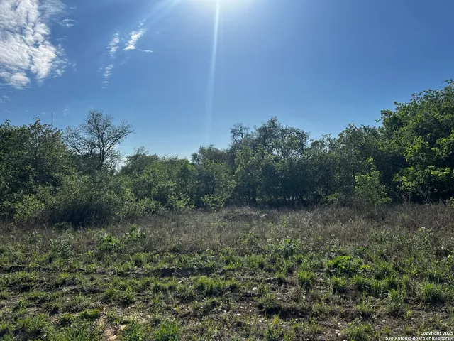 a view of a field of grass and trees