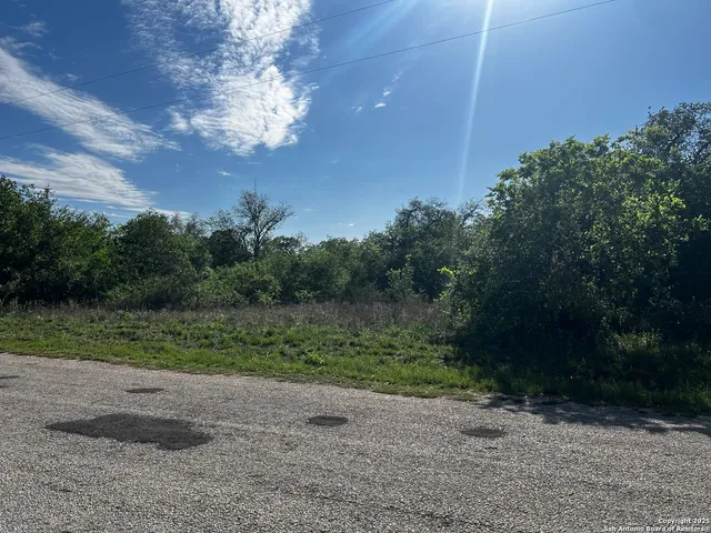 a view of a yard with a tree
