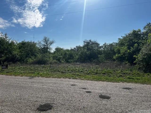 a view of a yard with a tree