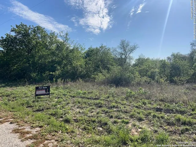 a view of a dry yard with lots of green space