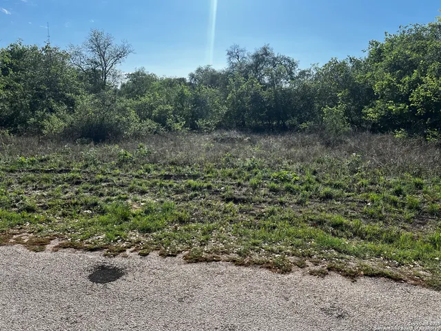 a view of a lush green forest with lots of trees