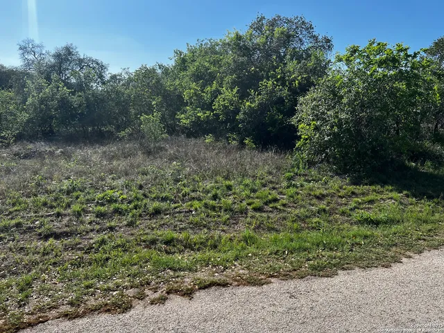 a view of a forest with trees