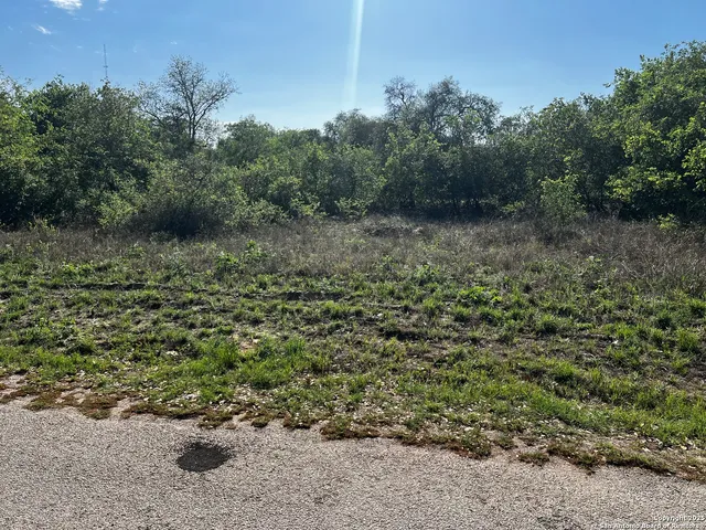 a view of a lush green forest with lots of trees