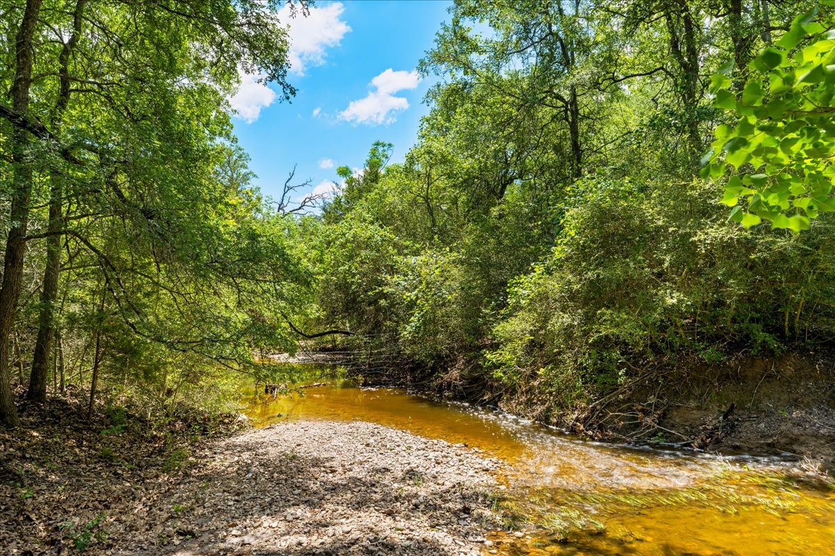 2516 Klimer Road Fayetteville, TX 78940 - Photo 12 of 20