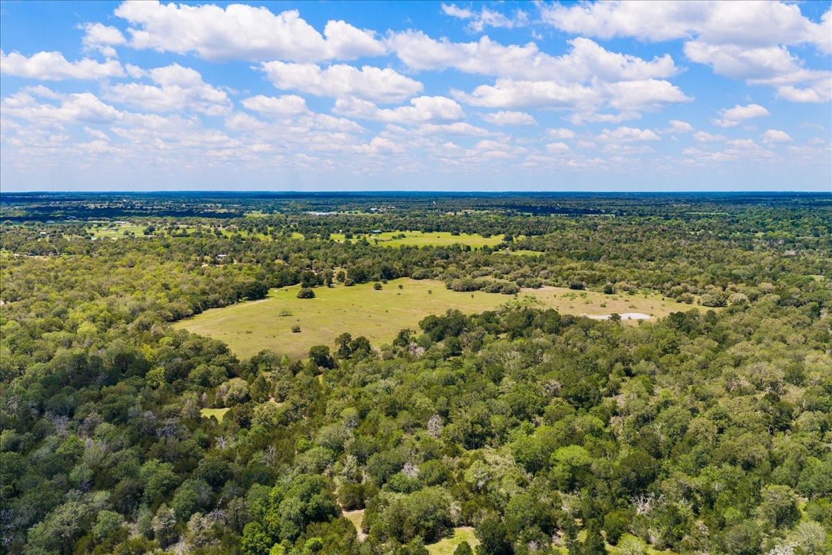 2516 Klimer Road Fayetteville, TX 78940 - Photo 3 of 20