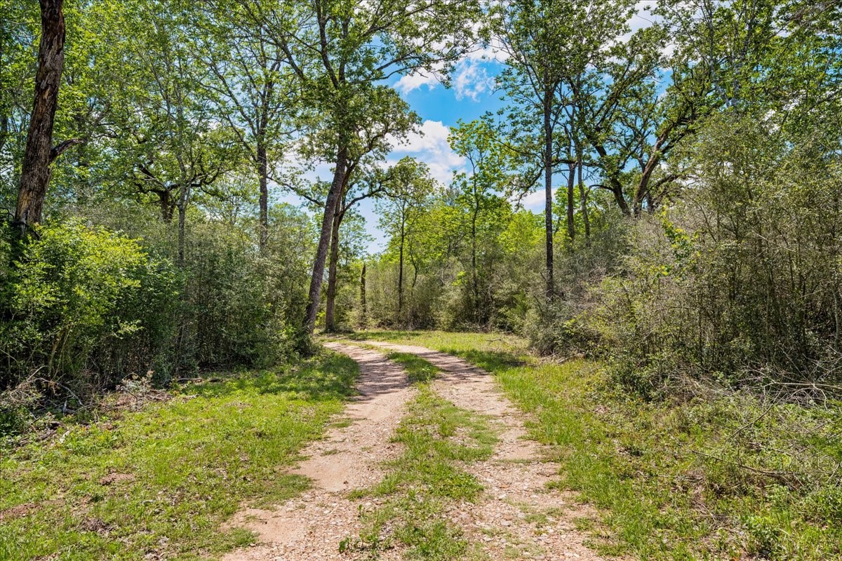 2516 Klimer Road Fayetteville, TX 78940 - Photo 5 of 20