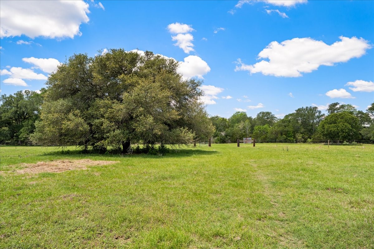 2516 Klimer Road Fayetteville, TX 78940 - Photo 8 of 20