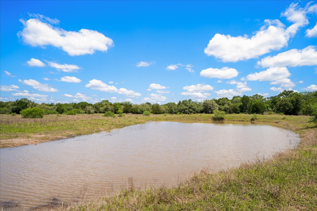 2516 Klimer Road Fayetteville, TX 78940 - Photo 9 of 20