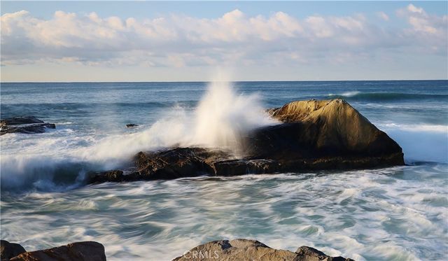 a view of a bench in the backyard