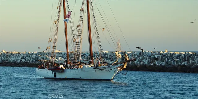 a view of three palm trees