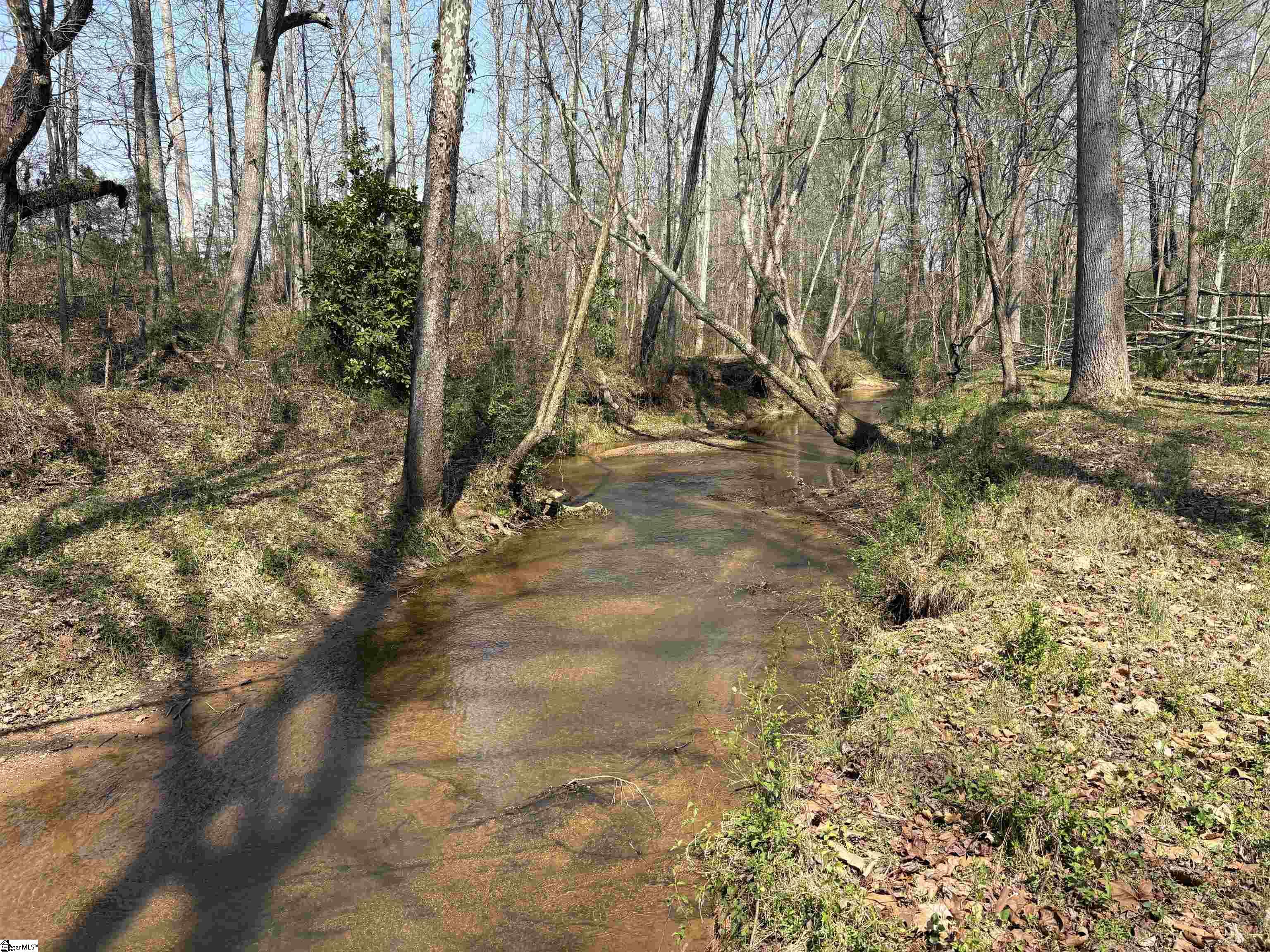 557 State Rd S-39-204 Liberty, SC 29657 - Photo 36 of 50