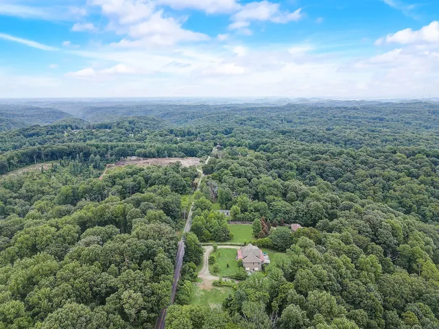 an aerial view of houses covered in trees
