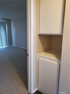 a view of backyard and window