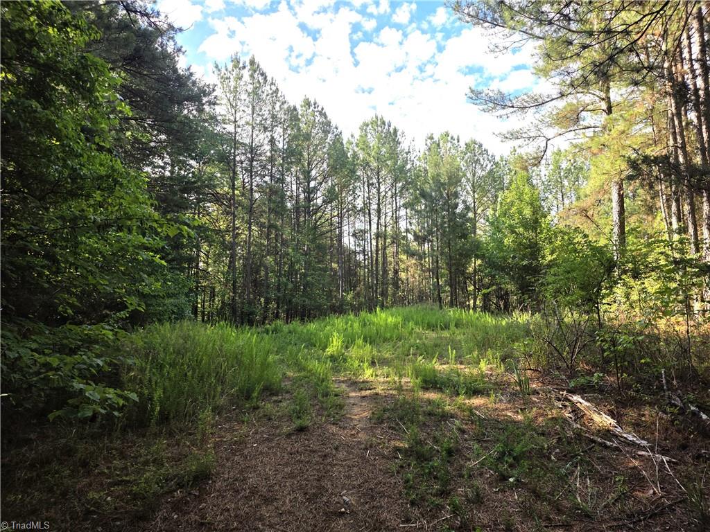 Xx 31.85-ac Xx 31.85-ac Hampton Road Germanton, NC 27019 - Photo 7 of 33