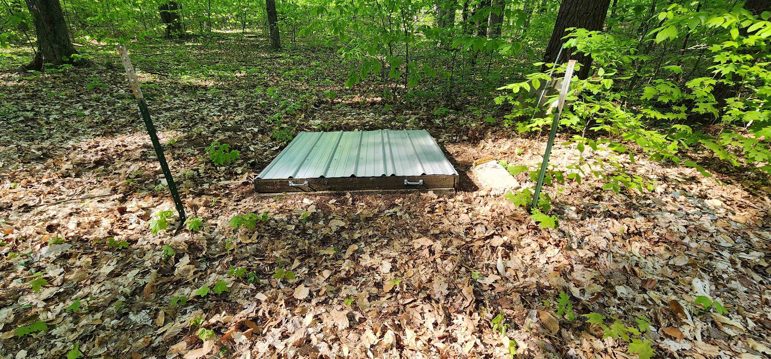 7400 West Phelps Road Manton, MI 49663 - Photo 10 of 28