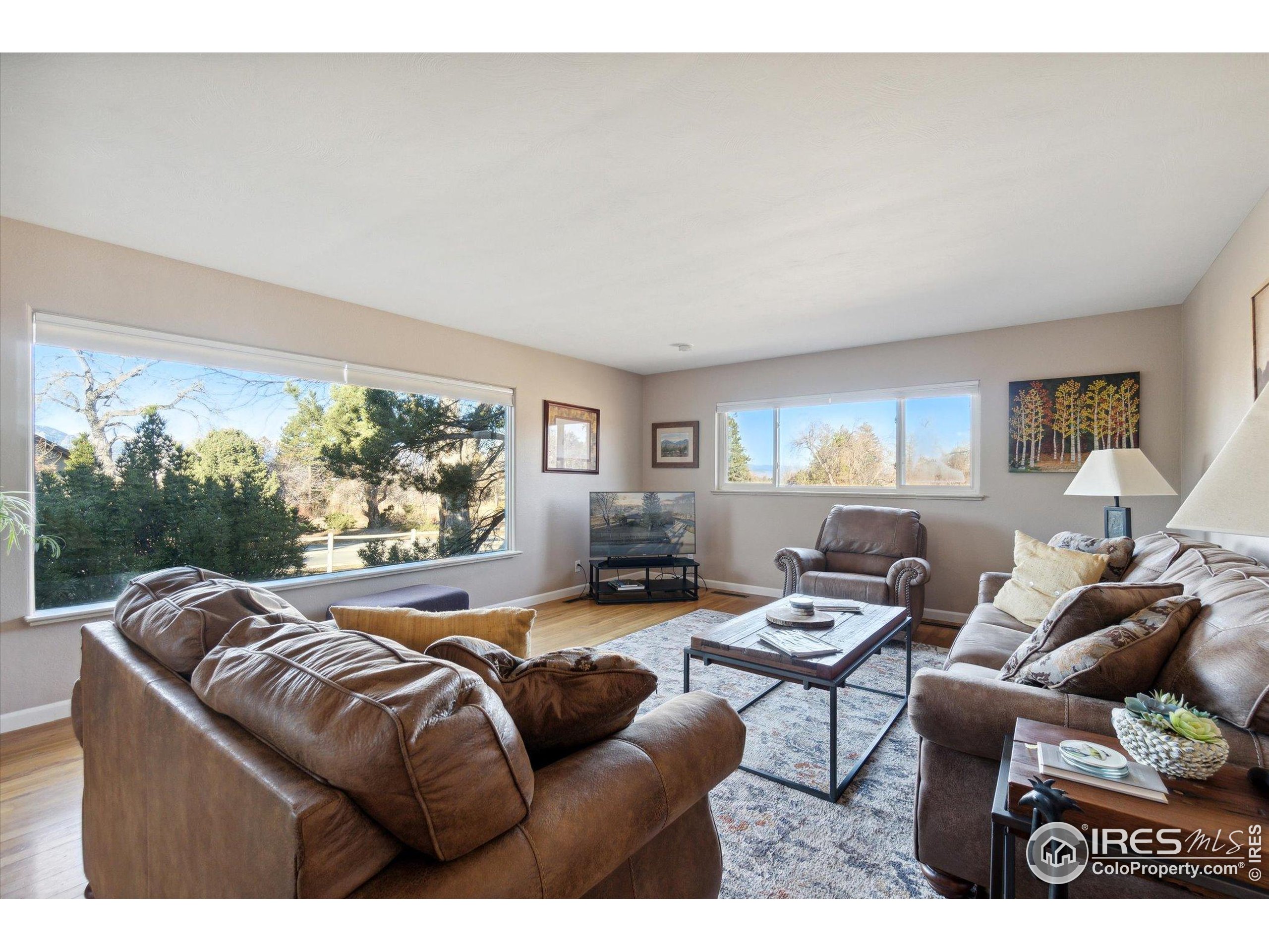 1034 Spring Drive Boulder, CO 80303 - Photo 10 of 49 a living room with furniture and a large window