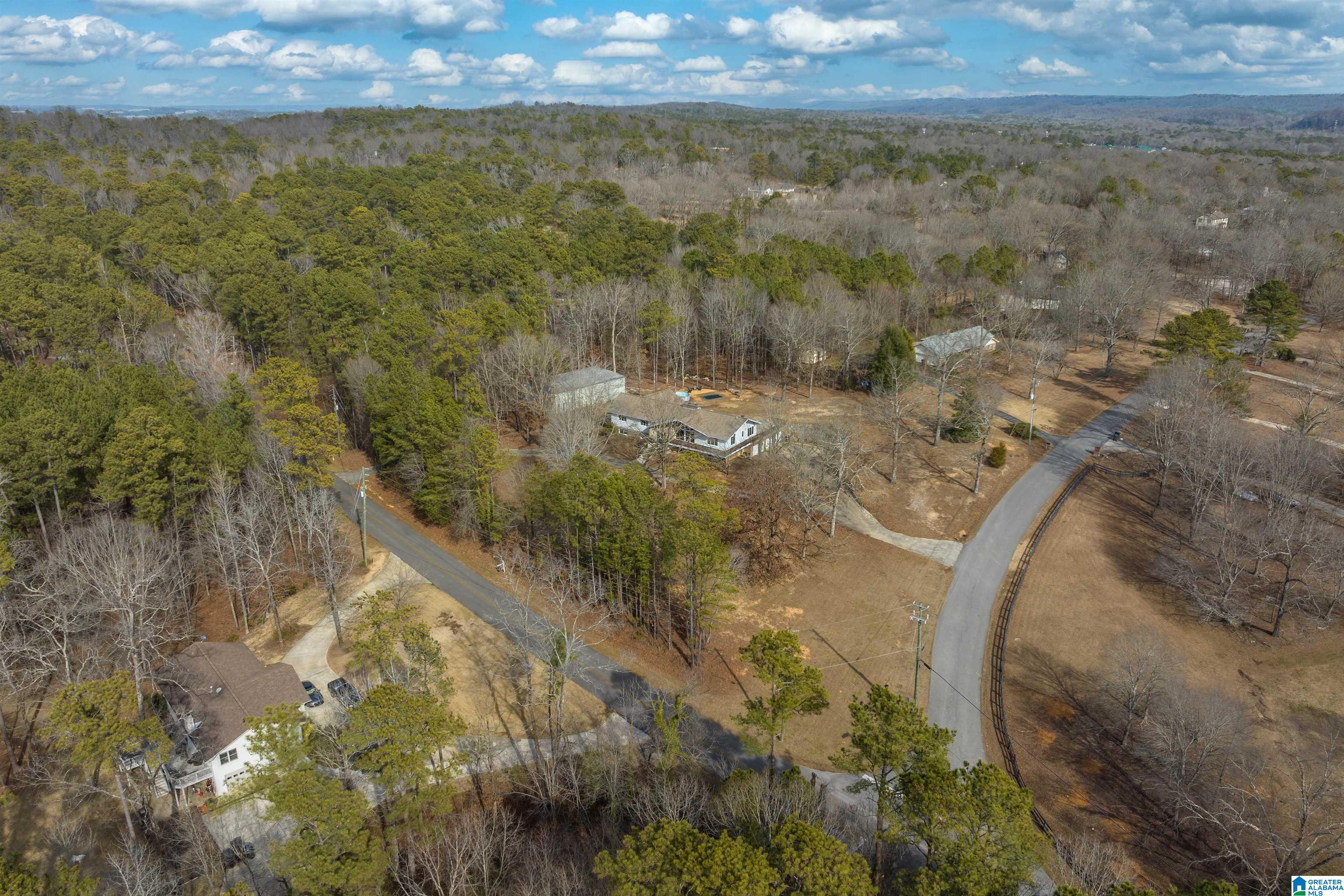 585 Valley View Road Pelham, AL 35124 - Photo 56 of 64