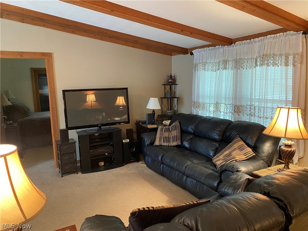 14980 Sprucevale Road East Liverpool, OH 43920 - Photo 11 of 19 Carpeted living room featuring beamed ceiling